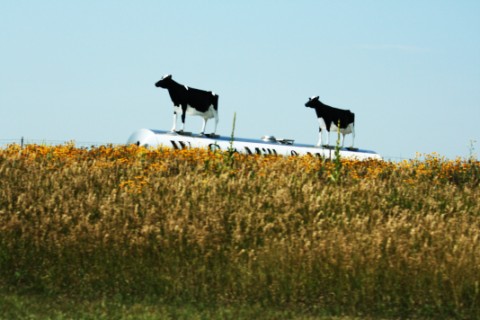 honeymoon_01.JPG