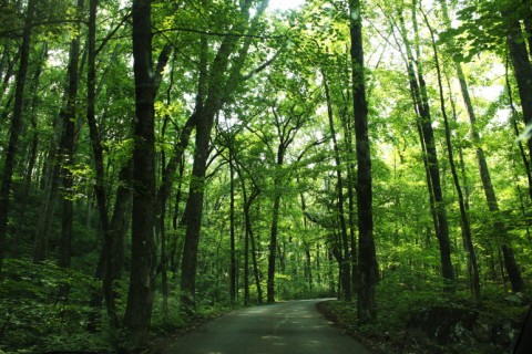 honeymoon_12.JPG