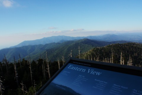 honeymoon_46.JPG