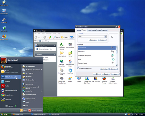 xp_vista_esque_480.jpg